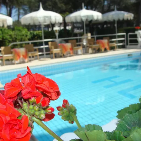 Hotel Villa Luisa-2